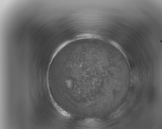 X0000062851098200601171505