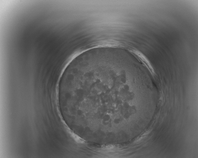 X0000062851099200601171505