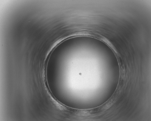 X0000062851101200601171505