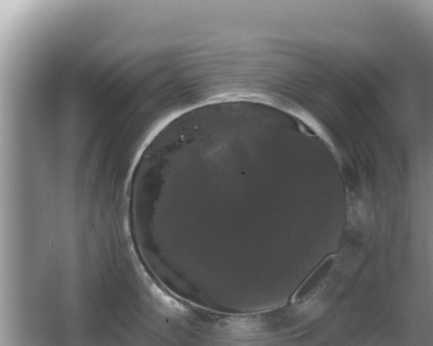 X0000062851102200601171505