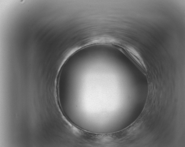 X0000062851103200601171505