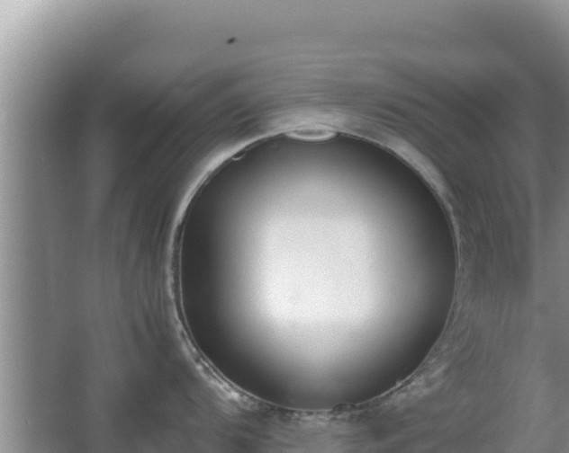 X0000062851104200601171504