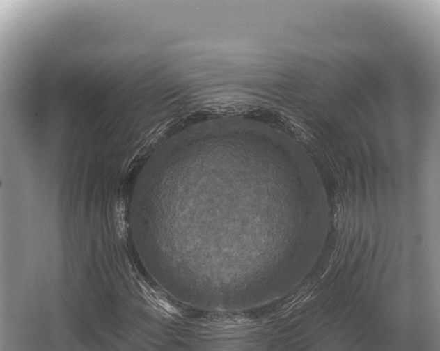 X0000062851108200601171504