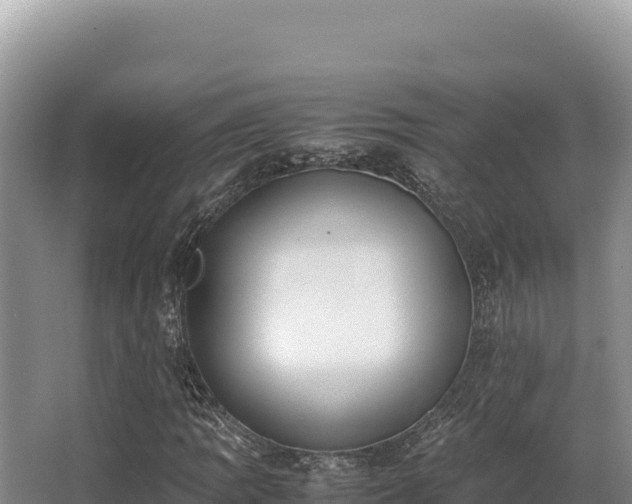 X0000062851109200601171504