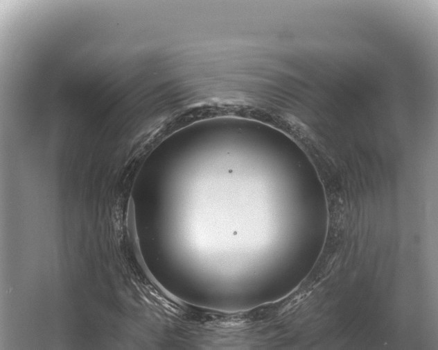 X0000062851110200601171504