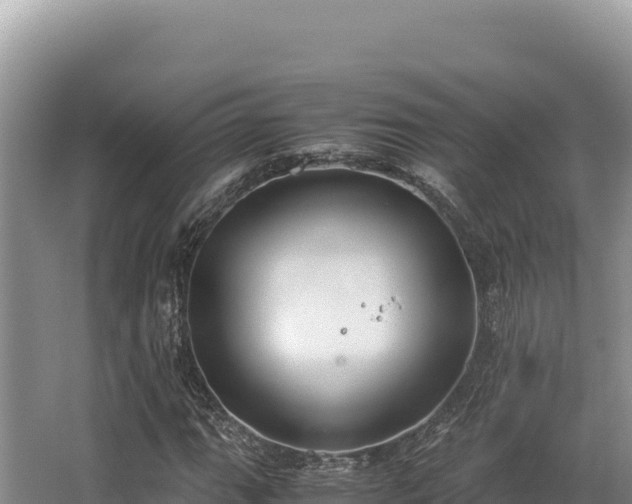 X0000062851111200601171504