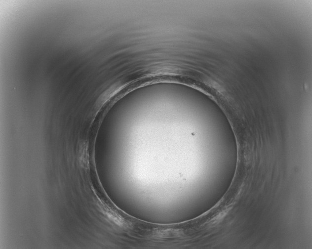 X0000062851113200601171504