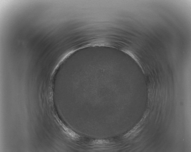 X0000062851115200601171504