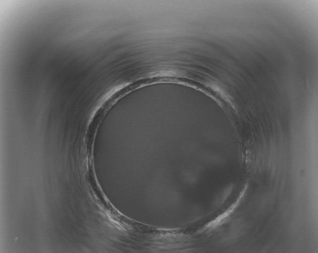 X0000062851117200601171504