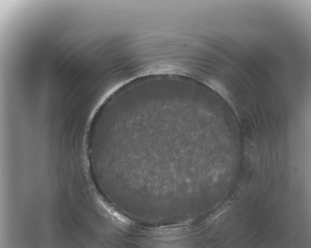 X0000062851120200601171504