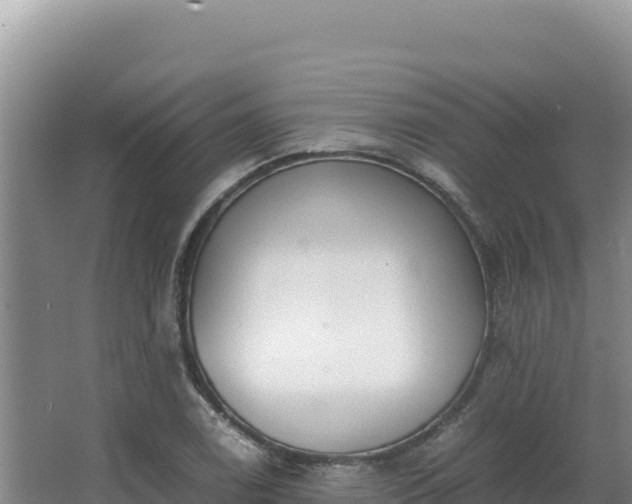 X0000062851122200601171504