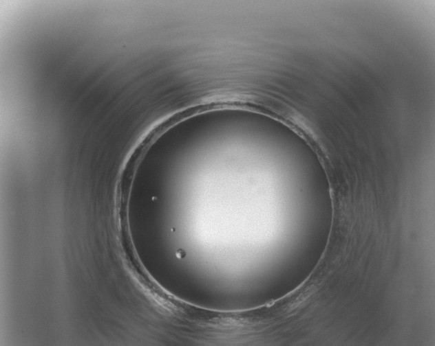 X0000062851124200601171504