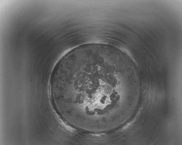 X0000062851125200601171504