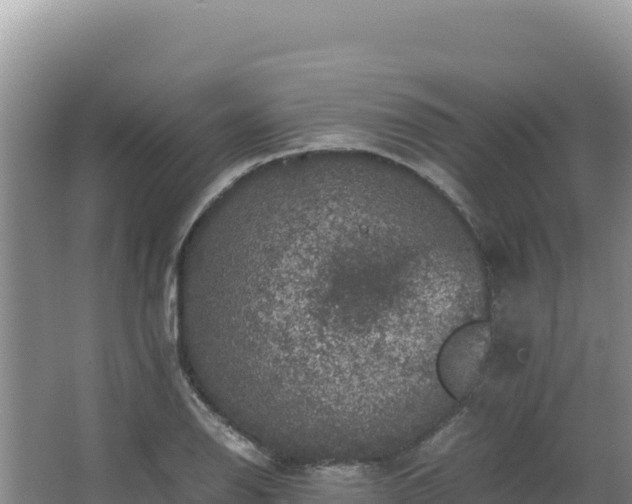 X0000062851126200601171504