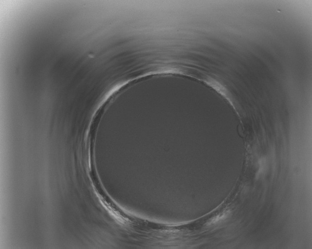 X0000062851127200601171504