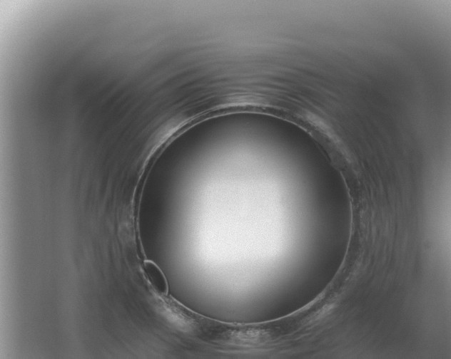 X0000062851129200601171504