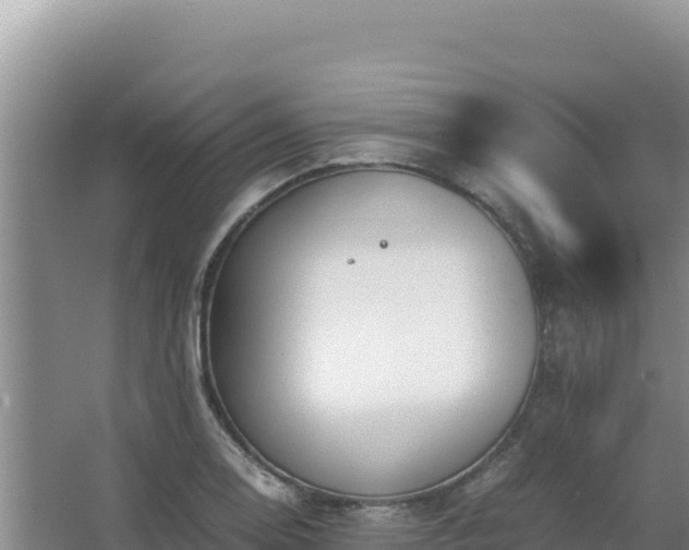 X0000062851130200601171504