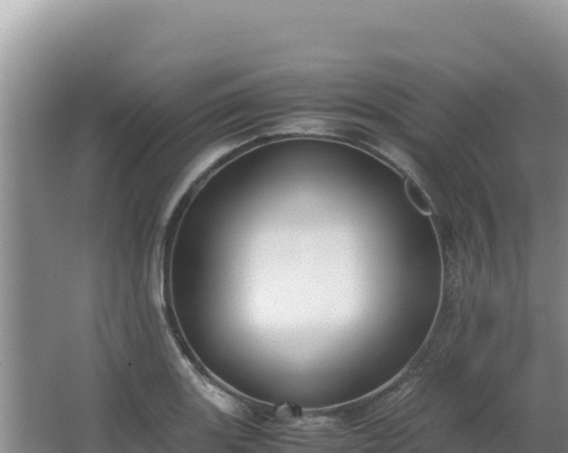 X0000062851131200601171504