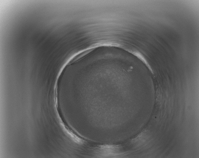 X0000062851132200601171504