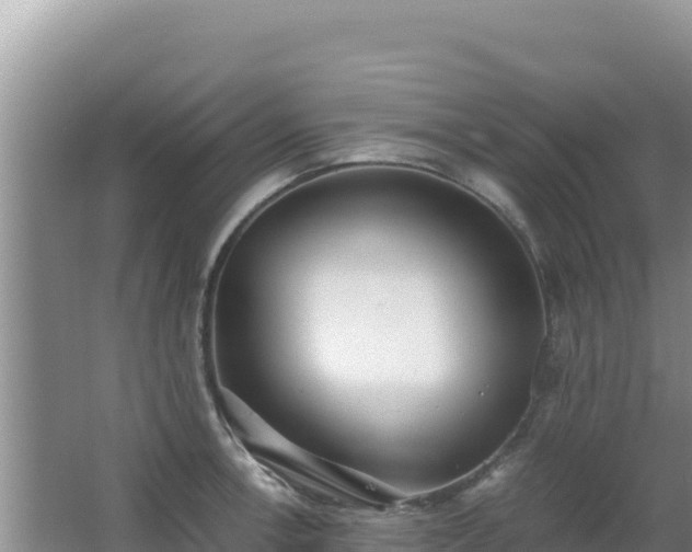 X0000062851138200601171504