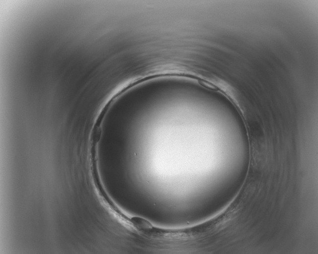 X0000062851142200601171504