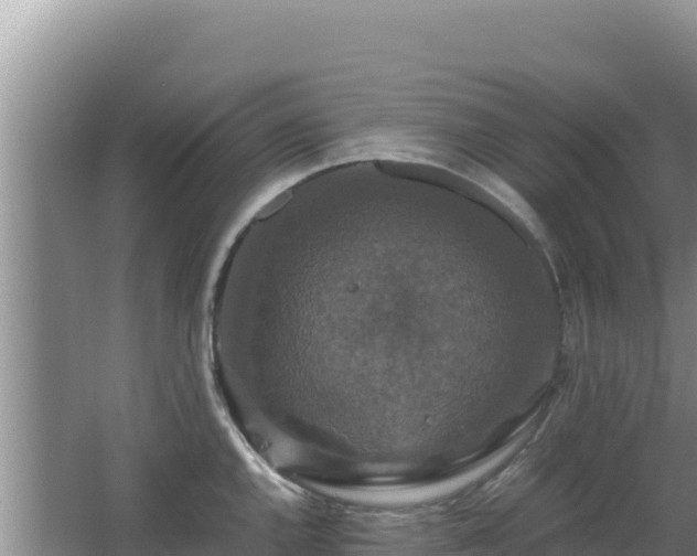 X0000062851144200601171504