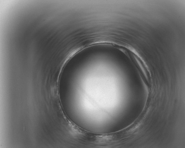 X0000062851145200601171504