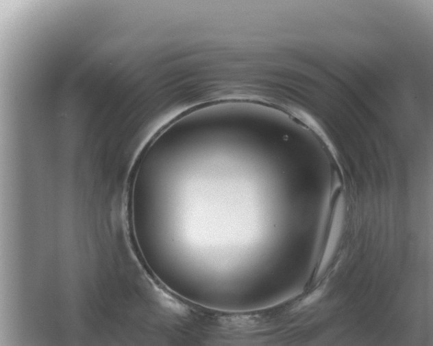 X0000062851149200601171504