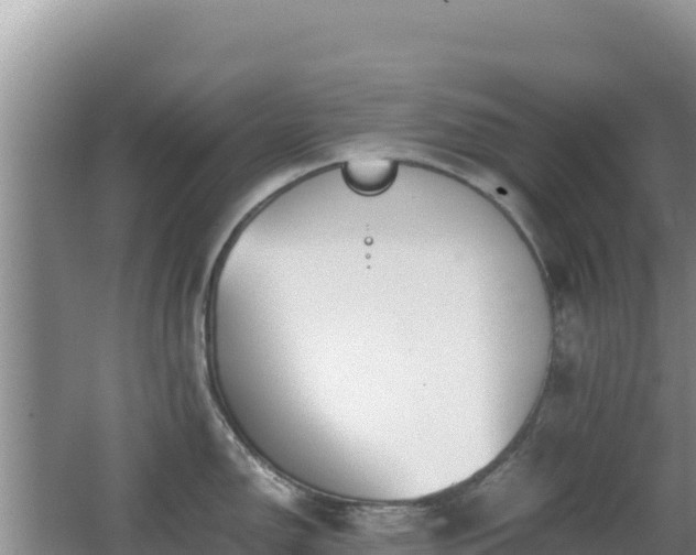 X0000062851150200601171504