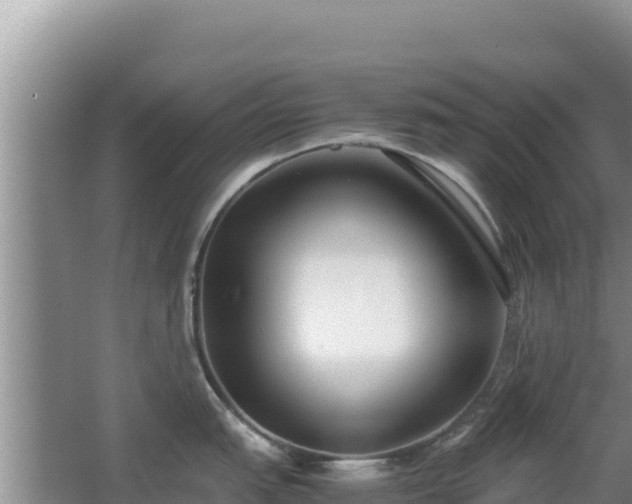 X0000062851151200601171504