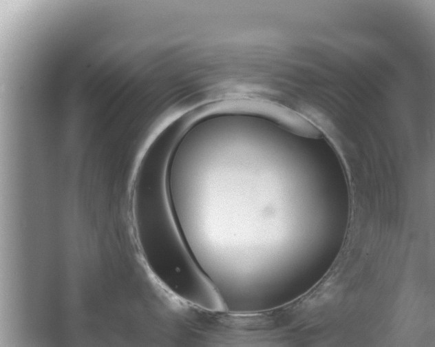 X0000062851152200601171504