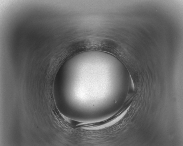 X0000062851153200601171504