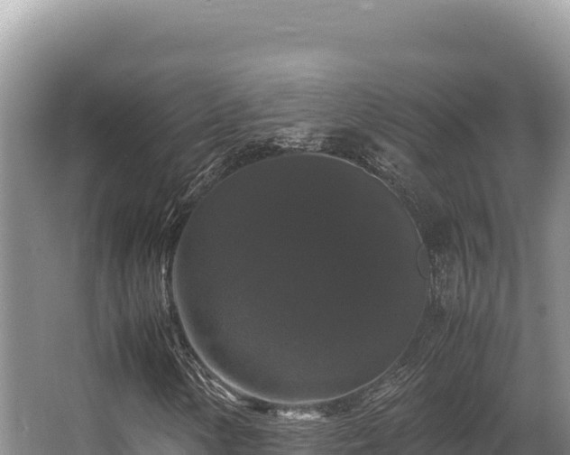 X0000062851154200601171504