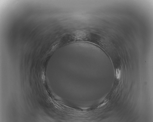 X0000062851155200601171504