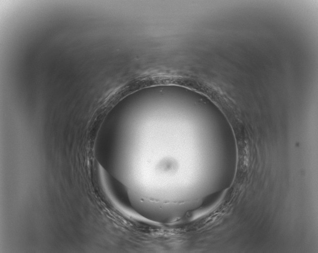 X0000062851157200601171504