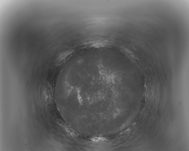 X0000062851158200601171504