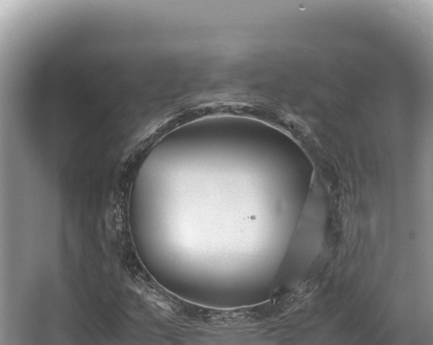 X0000062851159200601171504