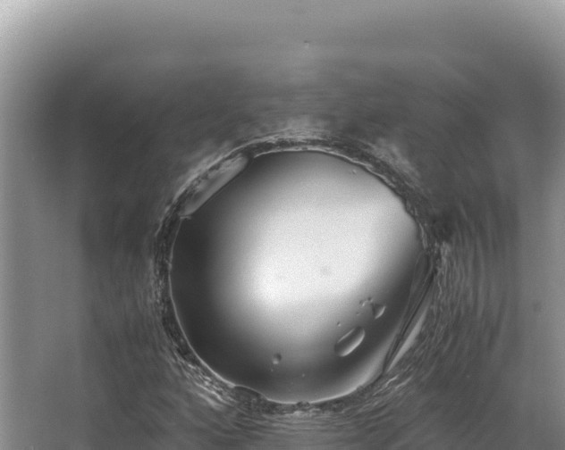 X0000062851160200601171504