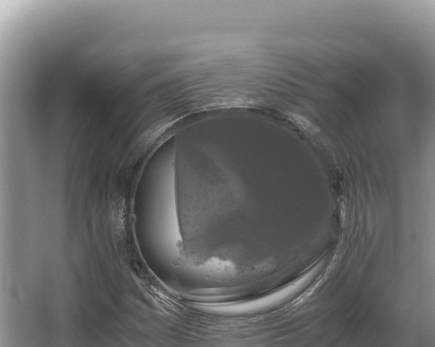 X0000062851161200601171504