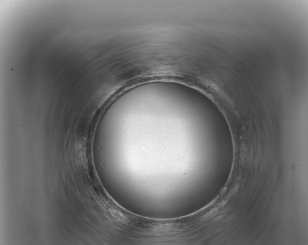 X0000062851162200601171504