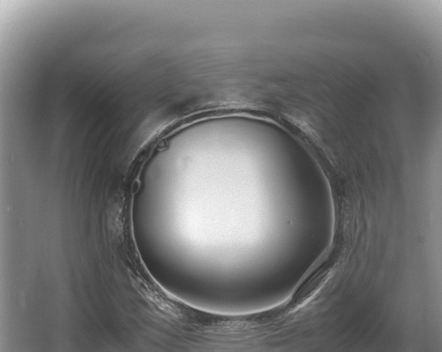 X0000062851163200601171503