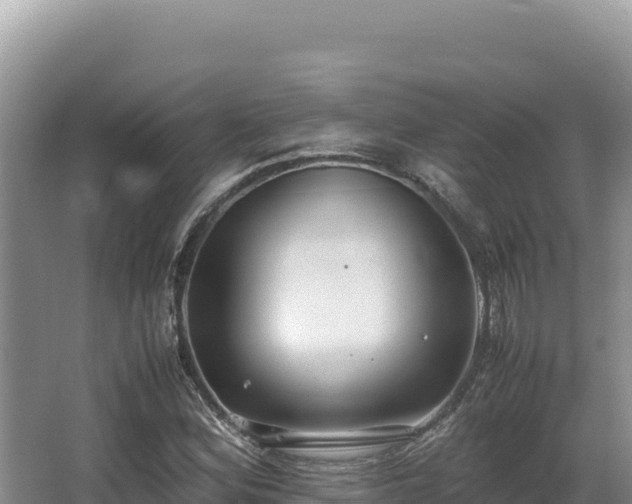 X0000062851164200601171503