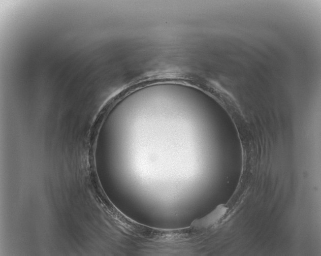 X0000062851166200601171503