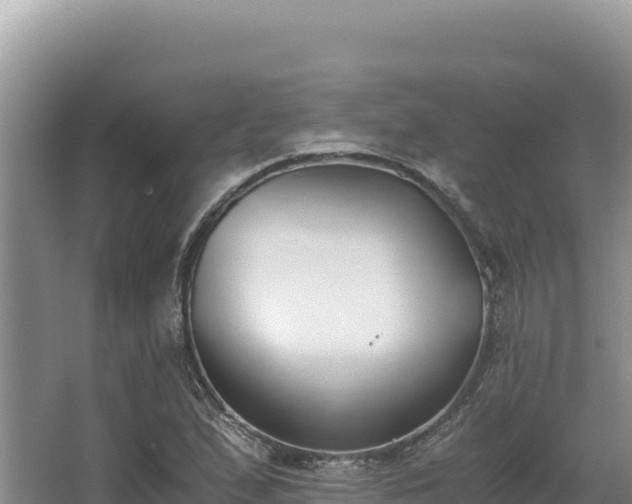 X0000062851167200601171503