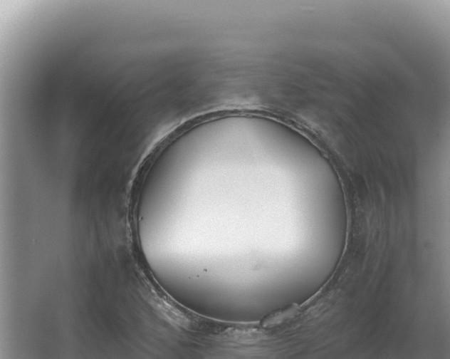 X0000062851168200601171503