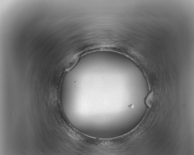 X0000062851169200601171503