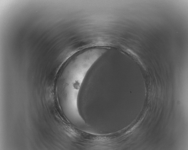 X0000062851170200601171503