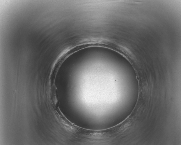 X0000062851172200601171503