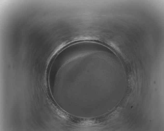 X0000062851173200601171503