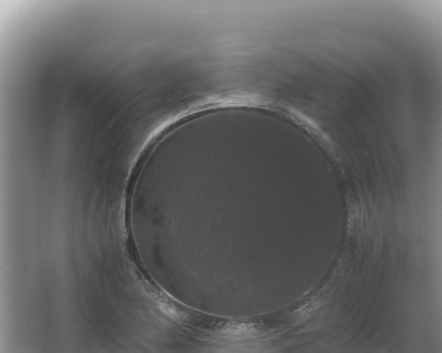 X0000062851174200601171503